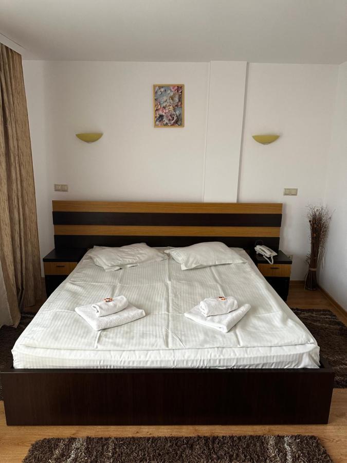 Pensiunea Andra Timisoara Luaran gambar
