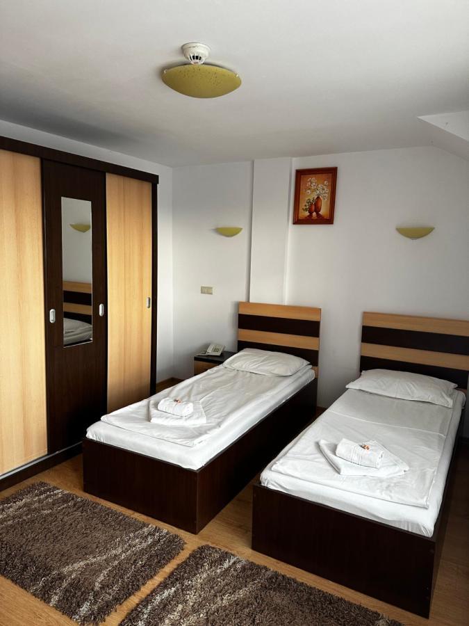 Pensiunea Andra Timisoara Luaran gambar