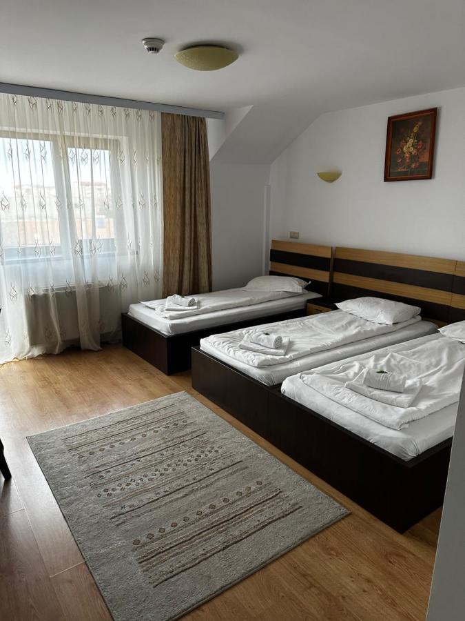 Pensiunea Andra Timisoara Luaran gambar