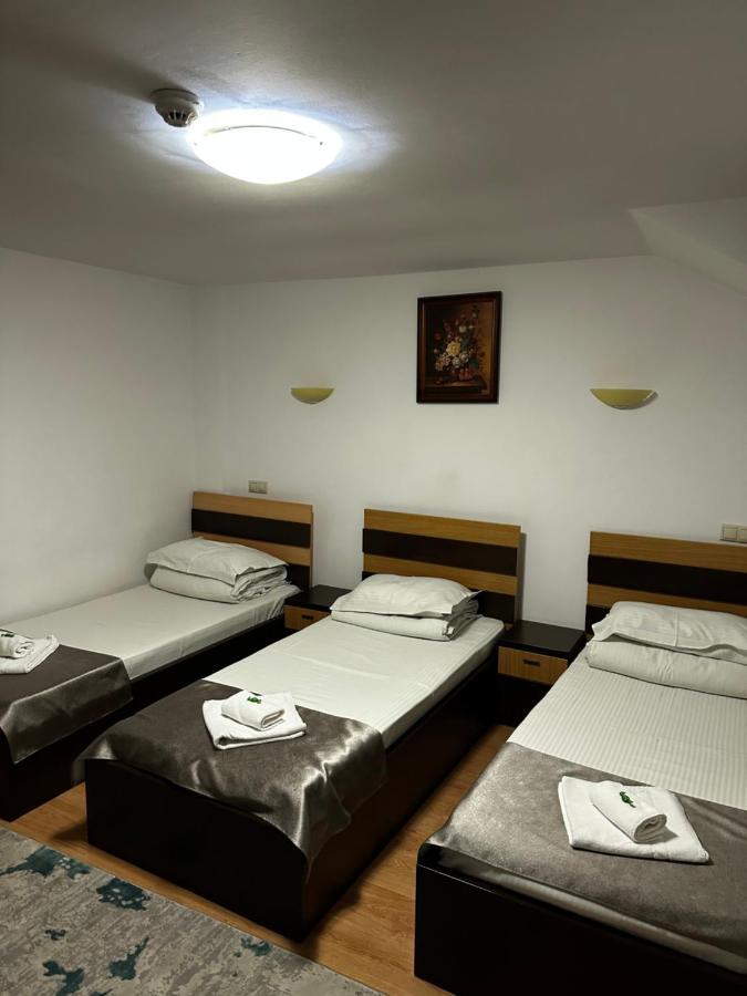 Pensiunea Andra Timisoara Luaran gambar