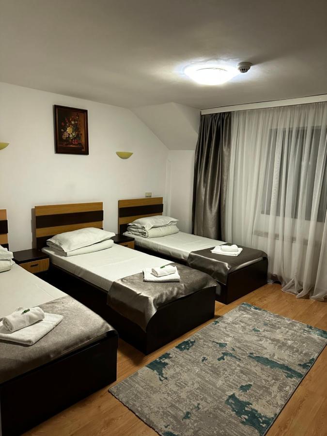 Pensiunea Andra Timisoara Luaran gambar